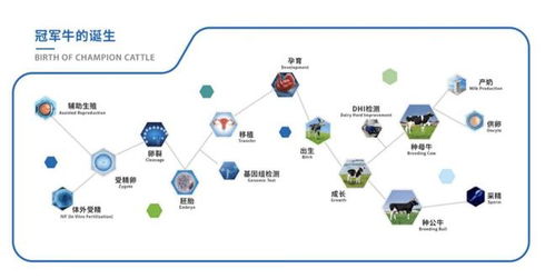 育種科技結(jié)碩果 優(yōu)然牧業(yè)賽科星聯(lián)合主辦家畜生物育種與胚胎工程技術(shù)國際學(xué)術(shù)研討會